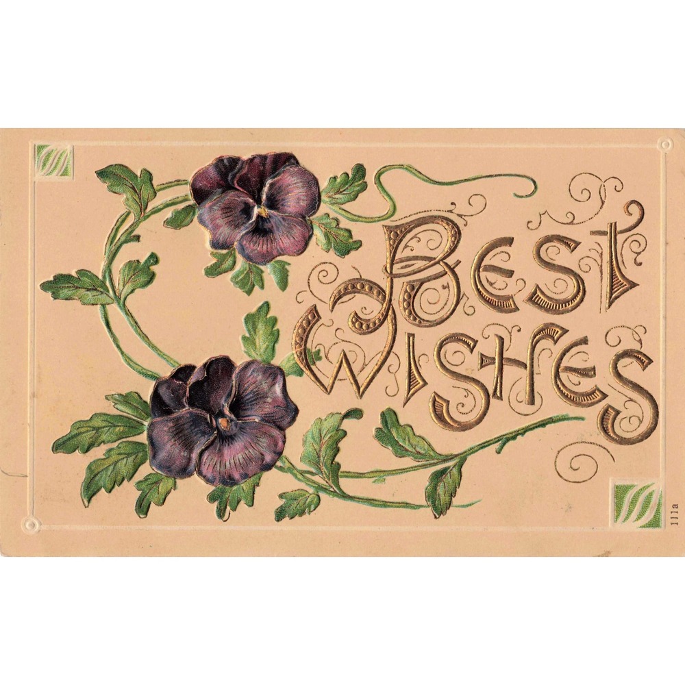 Antique Embossed Postcard Purple Pansies Best Wishes Floral Glen Argyle PA 1907